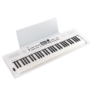Roland GOKEYS5-WH【MRGKS3/5（専用譜面立て）セット】  (GO:KEYS 5) Music Creation Keyboard
