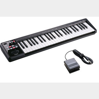RolandA-49 BK ブラック DP-10ペダルセット 49鍵盤MIDIキーボード 【WEBSHOP】