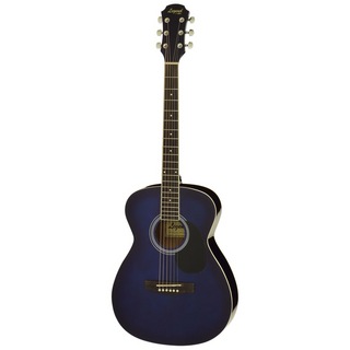 LEGENDFG-15 BLS アコースティックギター