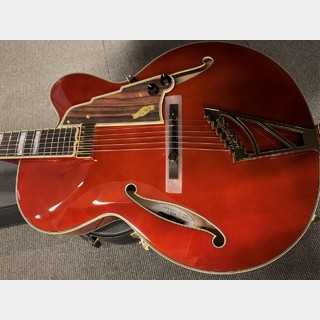 D'Angelico【48回金利無料】Excel EXL-1 Throwback -Viola (#w2200997)≒3.12㎏【渋谷店】