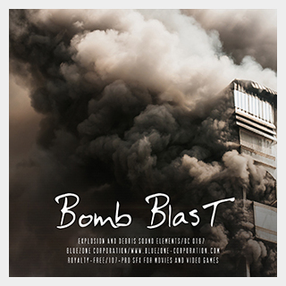 BLUEZONE BOMB BLAST EXPLOSION & DEBRIS SE