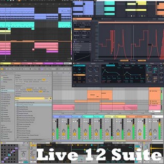 Ableton Live 12 Suite (オンライン納品)(代引不可)