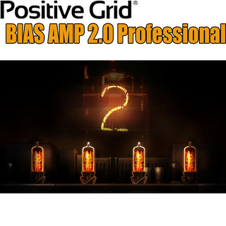 Positive Grid BIAS AMP 2.0 Professional