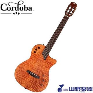 Cordoba エレガットギター Stage / Natural Amber