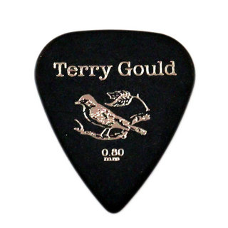 PICKBOY GP-TG-TB/08 Terry Gould 0.80mm ギターピック×10枚
