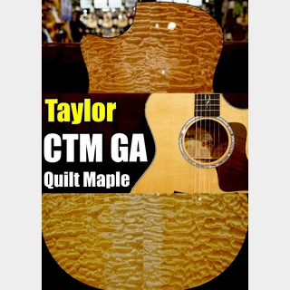 Taylor【個体演奏動画あり】CTM GA -Quilt Maple J-Spec【アンディ パワーズ選定 極上杢目】
