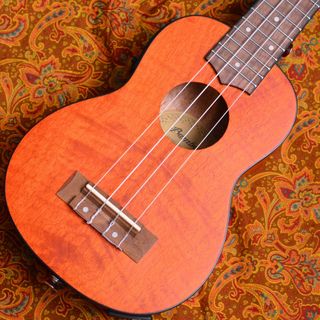 Bamboo GuitarsBU-21EXQ
