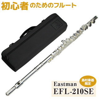 Eastman EFL-210SE フルート 【オフセット カバードキイ】 【Eメカ付き】