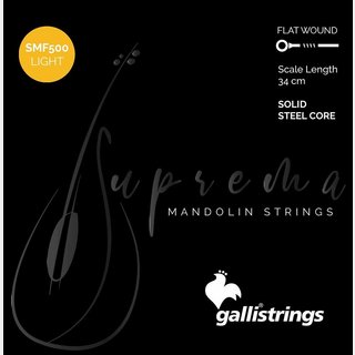 Galli StringsSMF500 Light Chrome Steel マンドリン弦 .010-.031【WEBSHOP】