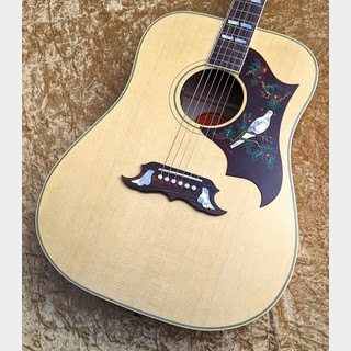 Gibson Dove Original AN【トラ杢メイプル個体】【ゴージャスな極鳴り】【2024年製個体】