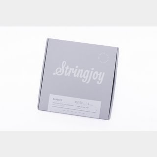 StringjoyJBS6LT 6st E.Bass Light (Stainless) .030/.045.0/65/.085/.105/.130【横浜店】