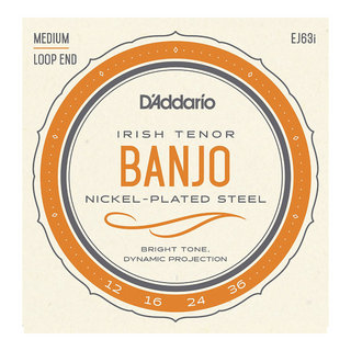 D'Addario ダダリオ EJ63i Irish Tenor Banjo Nickel Plated 12-36 テナーバンジョー弦
