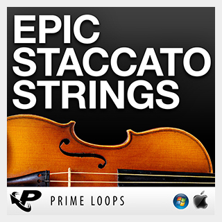 PRIME LOOPS EPIC STACCATO STRINGS