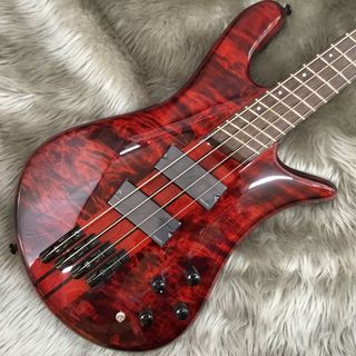 Spector NS DIMENSION MS
