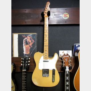 Fender 1975 Telecaster Blond/Maple