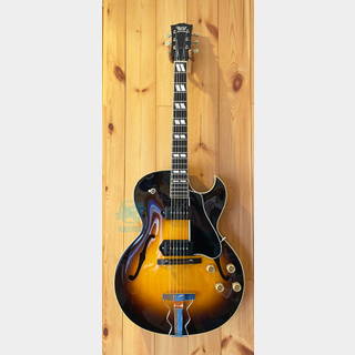 Archtop TributeAT102DCL SB