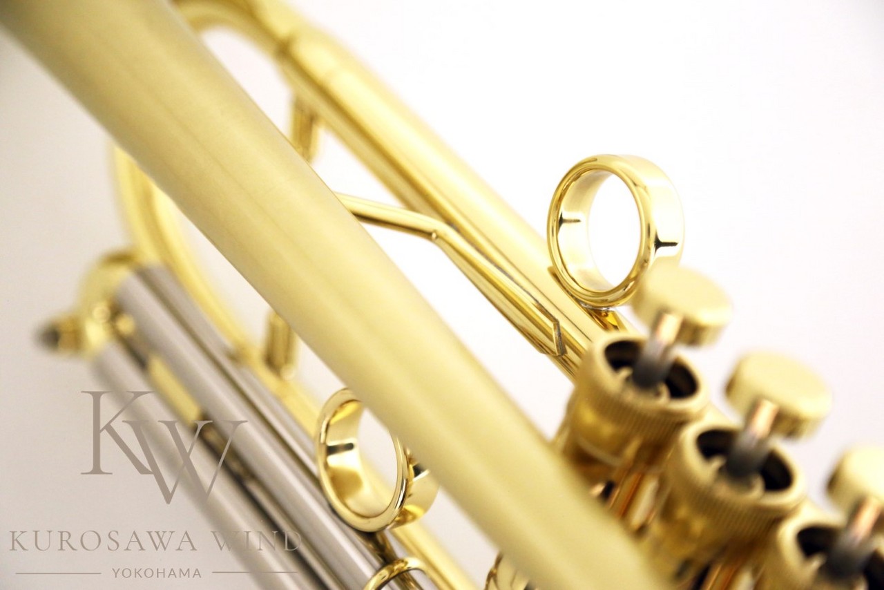 管楽器・吹奏楽器 Taylor E-ML 楽天市場】Taylor Chicago 46 Standard 【新品/New】【テイラー