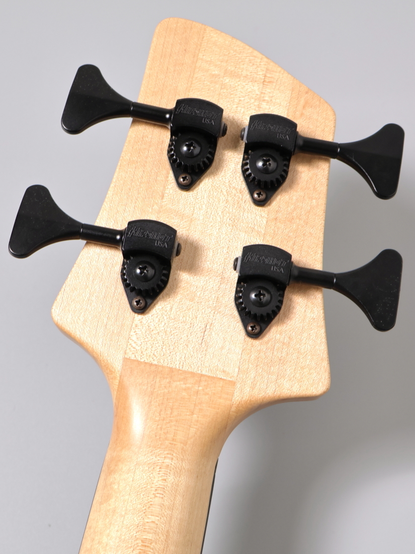 Elrick Gold Series E-volution 4st Fretless -Striped Ebony-【4.04kg