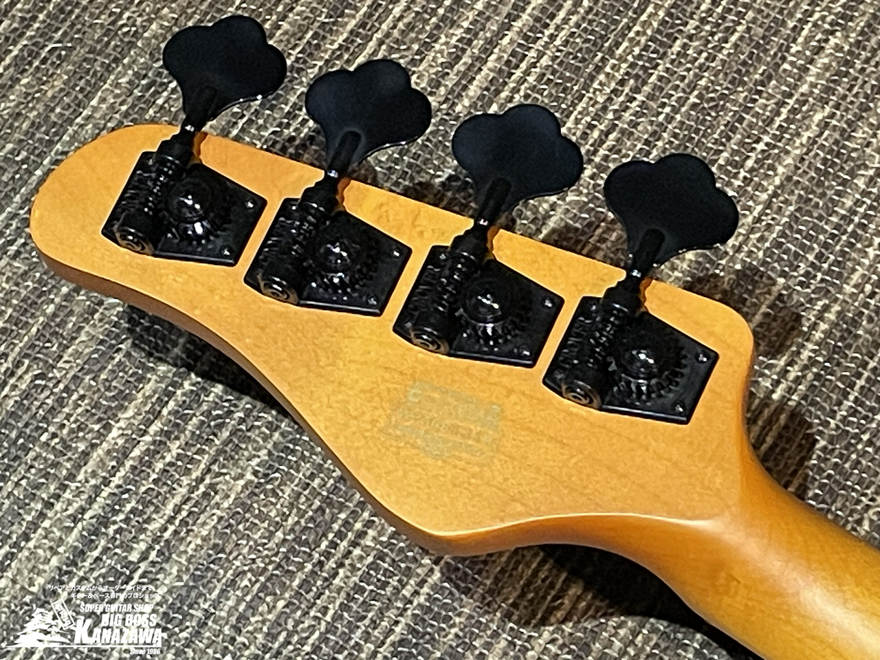 SCHECTER MODEL-T SESSION【希少なTLベース!】 （新品/送料無料