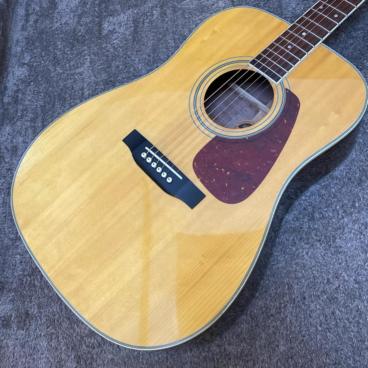 Morris MD-251N【尾張小牧店】（中古/送料無料）【楽器検索デジマート】