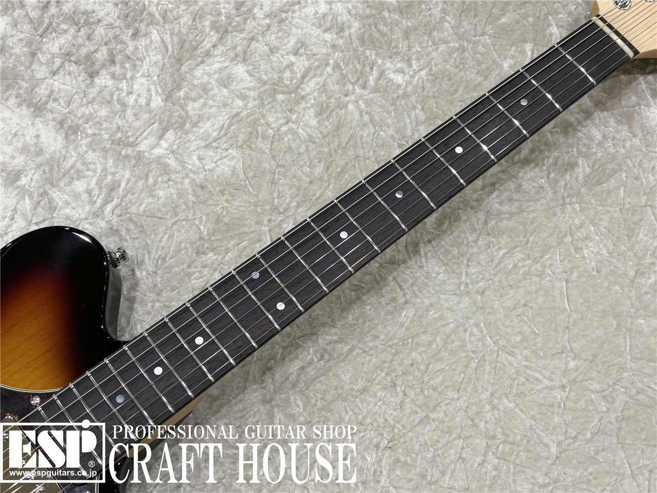 ESP TB SOLID-AL / 3 Tone Sunburst（新品/送料無料）【楽器検索