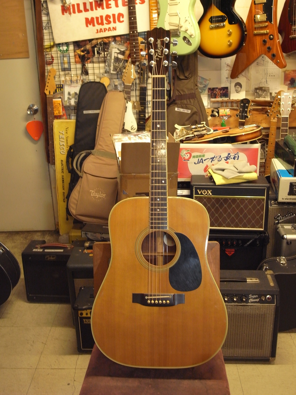 Takamine PT-06E (1979)（中古）【楽器検索デジマート】