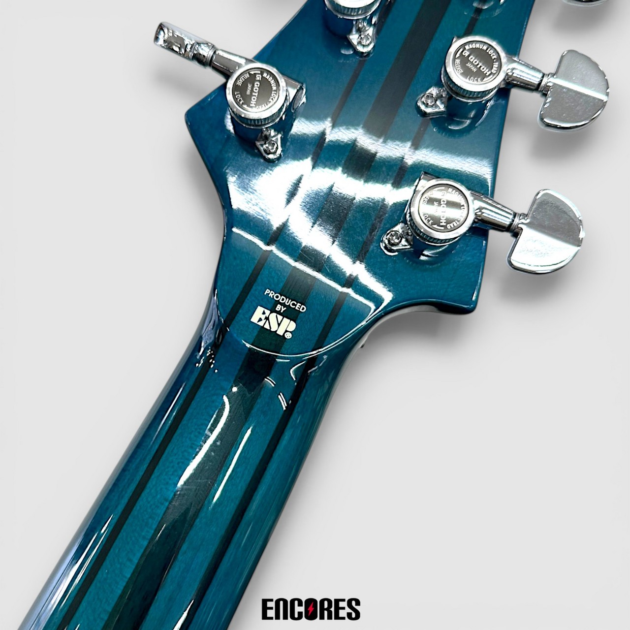 EDWARDS E-FR-145GT FOREST（中古）【楽器検索デジマート】