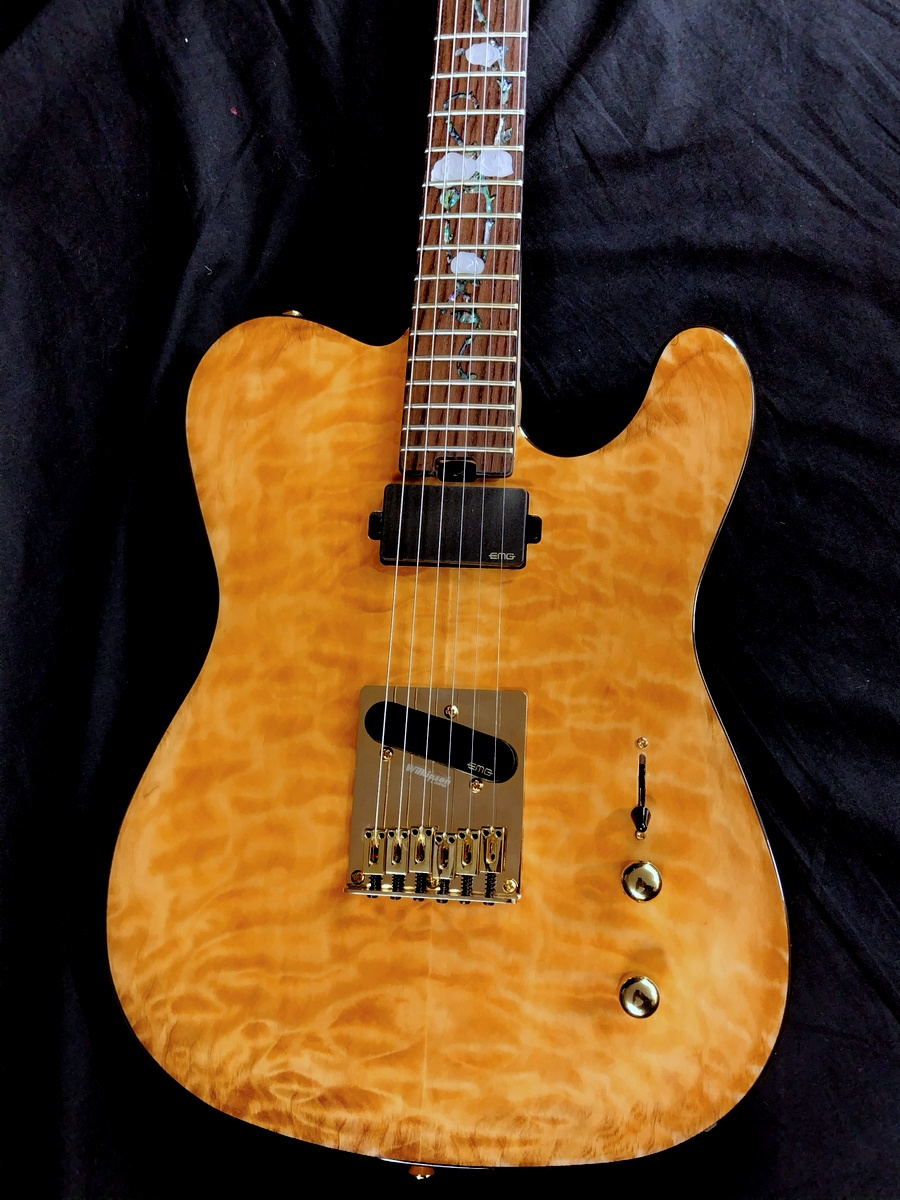 Aria Pro II TEG-780 N (Natural)（B級特価）【楽器検索デジマート】