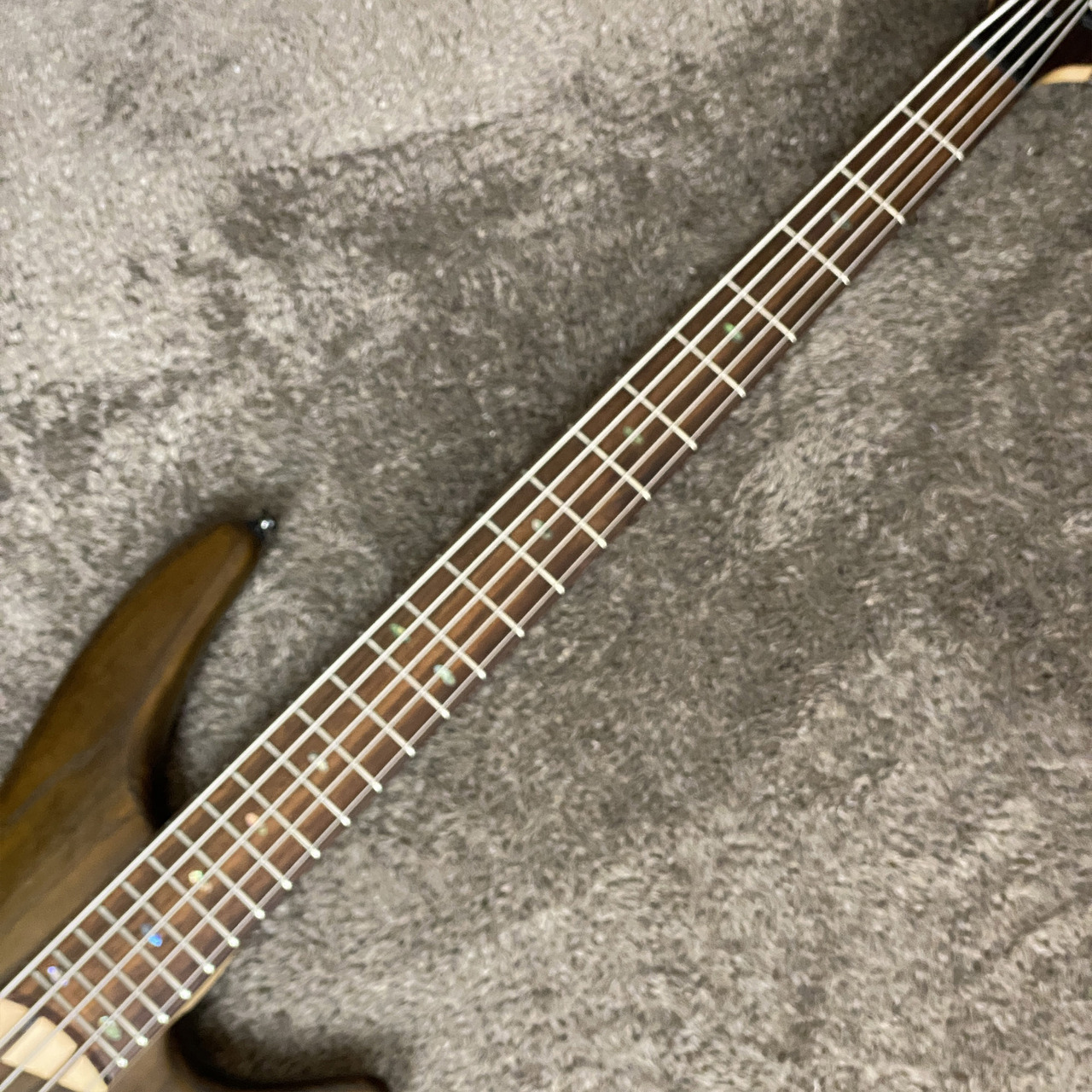 ibanez 5弦ベース ssr635 SSR635 | Ibanez Wiki | Fandom