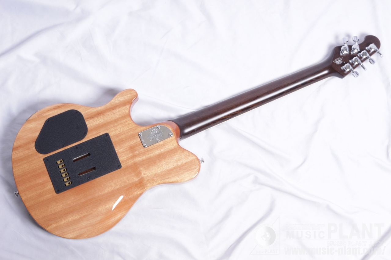 エレクトリックギター Kz RS 