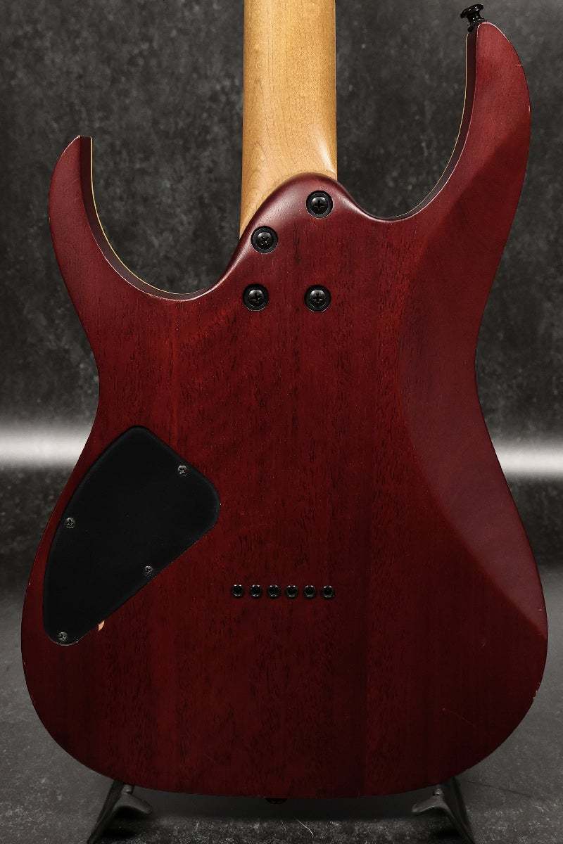 Ibanez RGEW521ZC-NTF Natural Flat 【名古屋栄店】（中古/送料無料