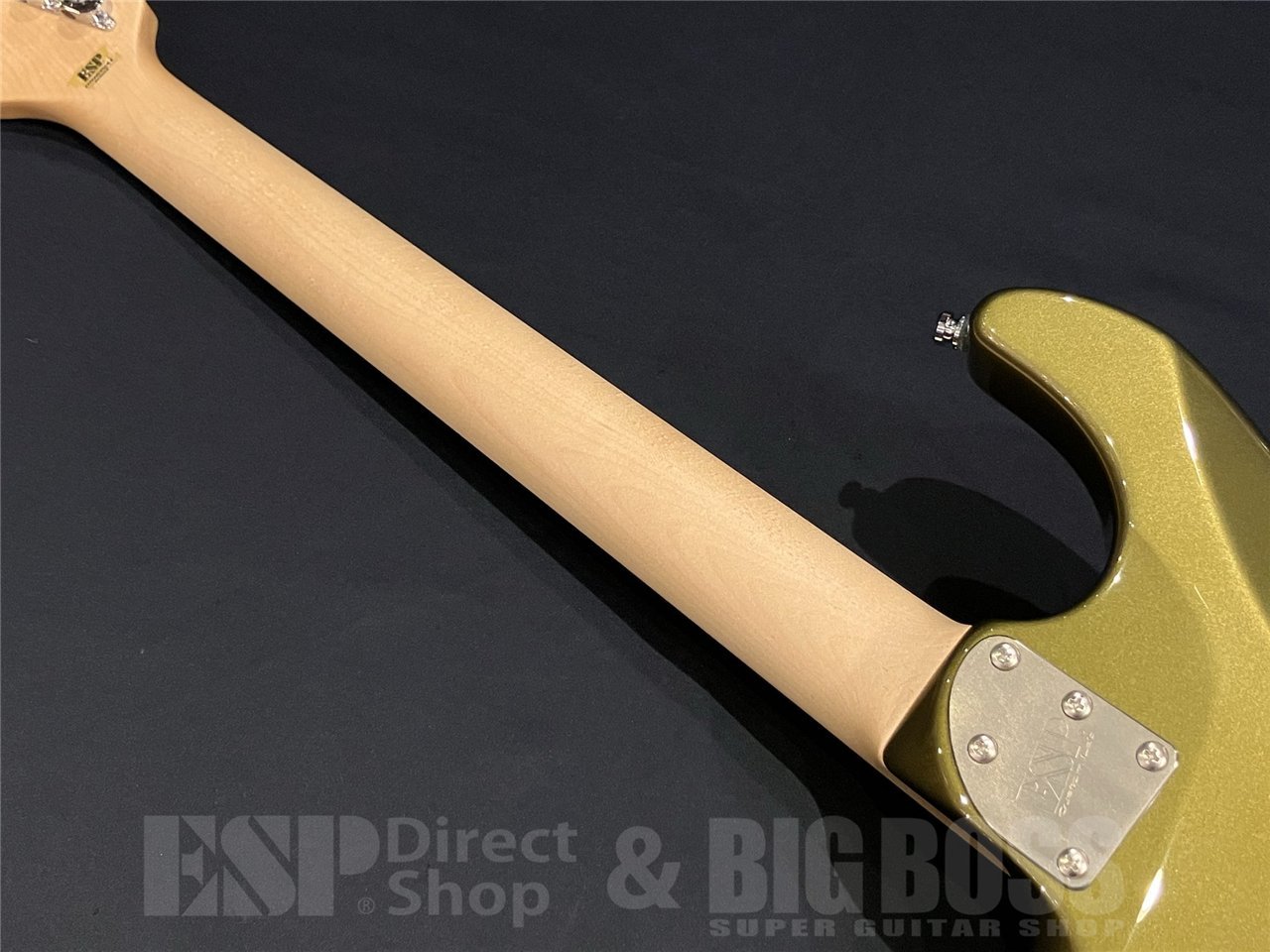 ESP SNAPPER-AL / Citron Green 2025仕様（新品/送料無料）【楽器検索