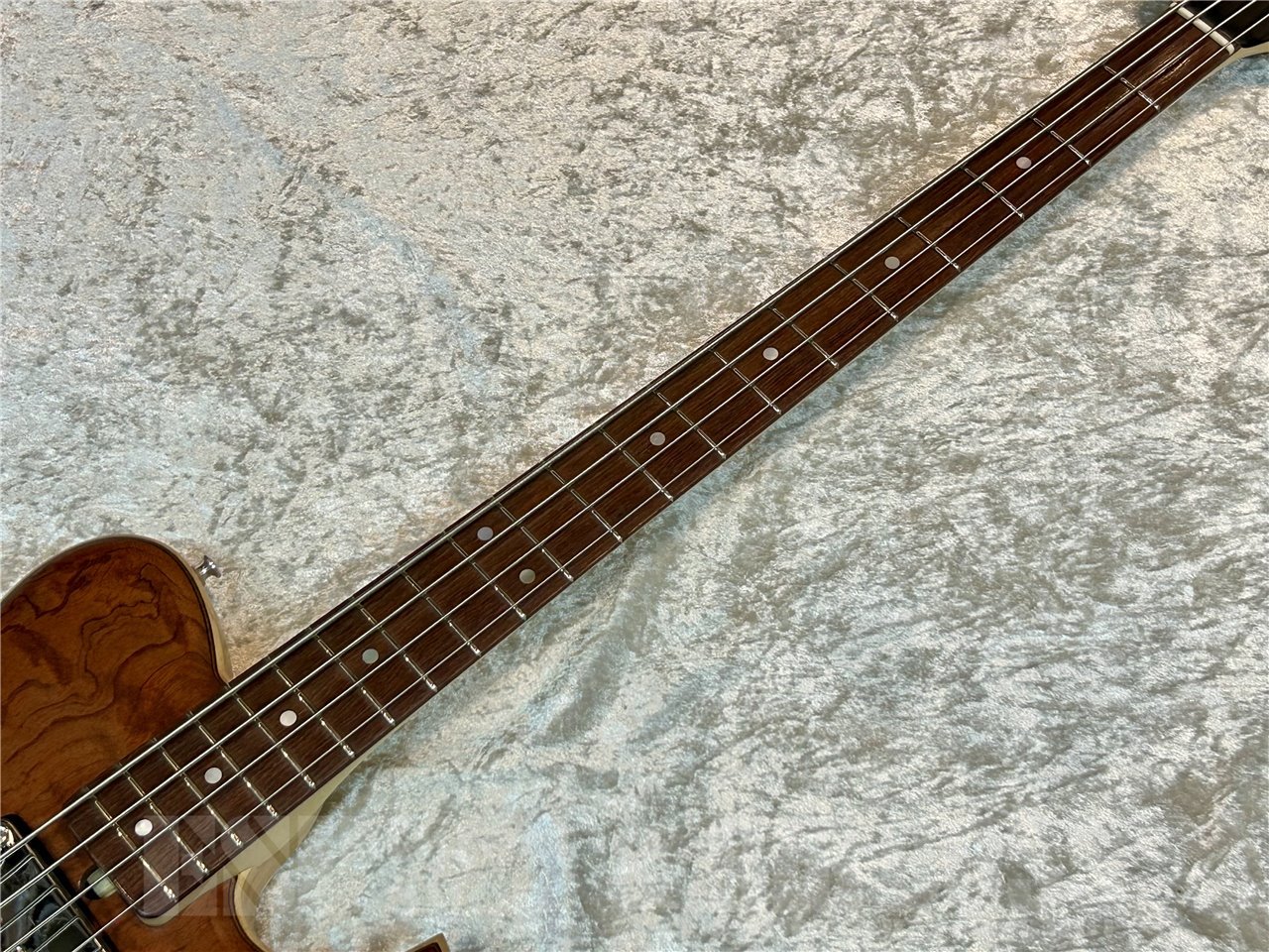TS-Factory 151A-TSSP Bubinga (Natural Matt Finish)（新品