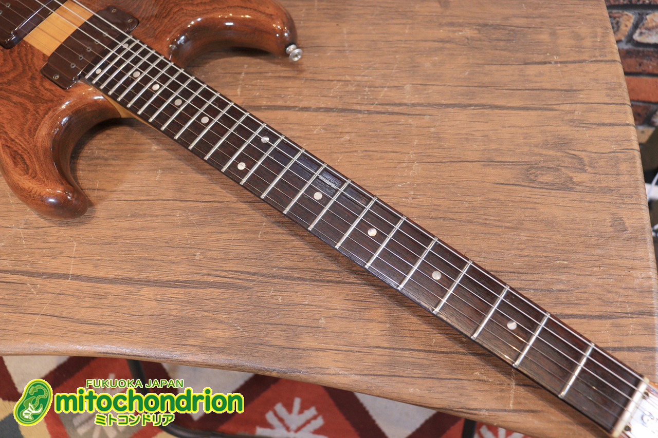 グレコ　GOII GO中山の Greco GO特集