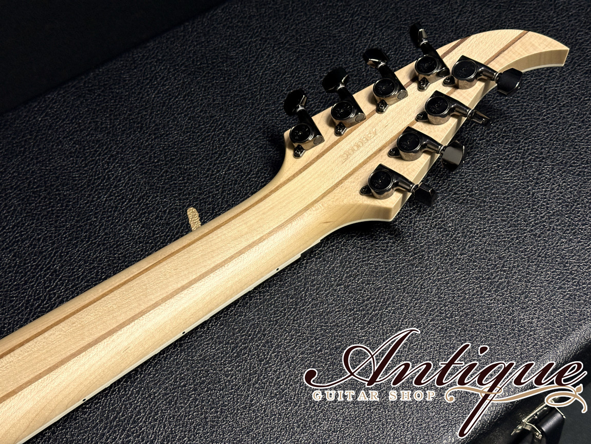 Caparison Apple Horn 8 Mattias IA Eklundh Signature Model 2022