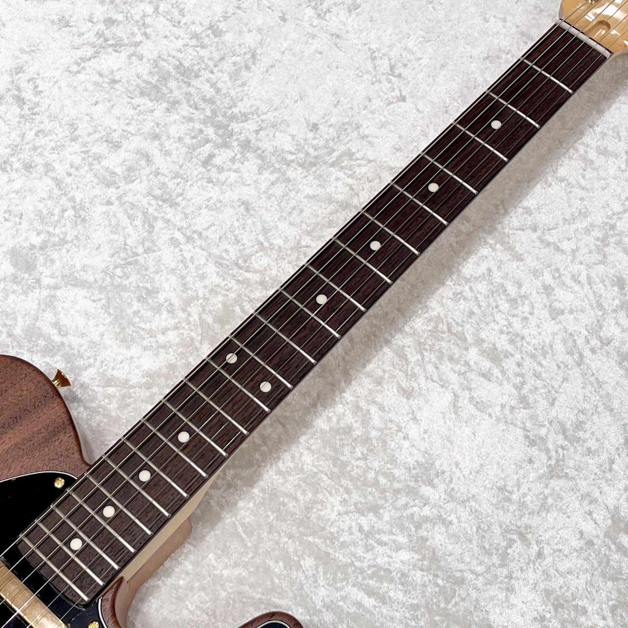 FUJIGEN(FGN) NNTE100RWL-ONT/01（新品/送料無料）【楽器検索デジマート】
