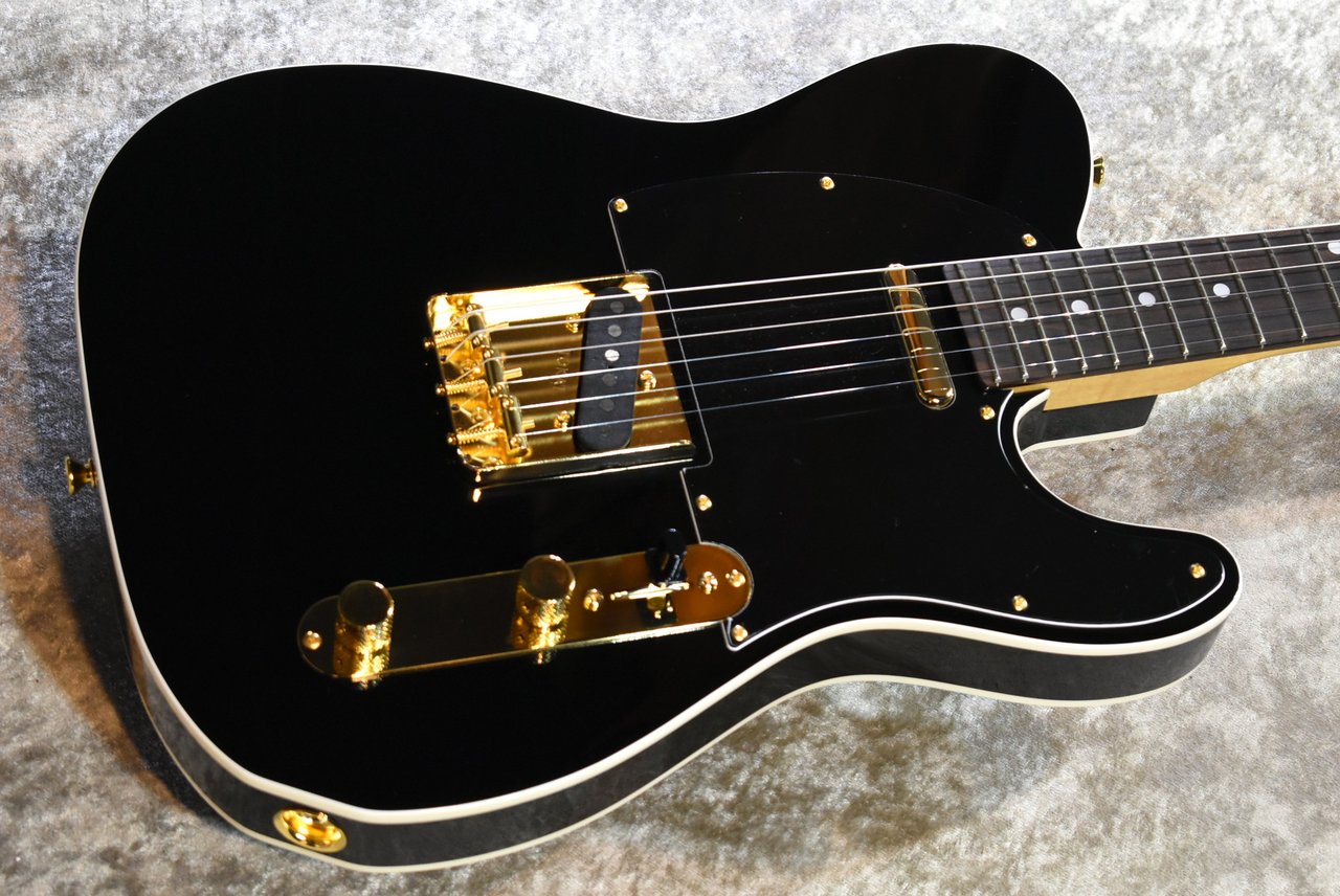 Tokai ATE-101B/G BBR #250234【待望の入荷、3.76kg】（新品）【楽器