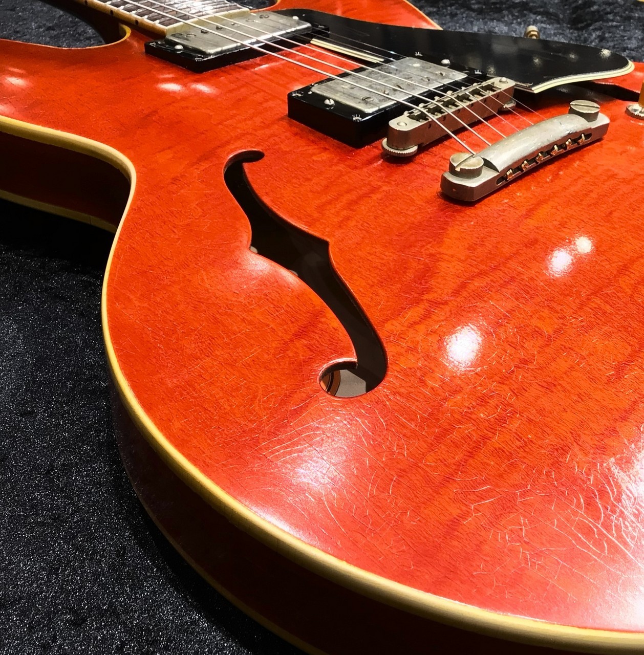 g7 Special g7-335 Dot Aged / Cherry（新品/送料無料）【楽器検索