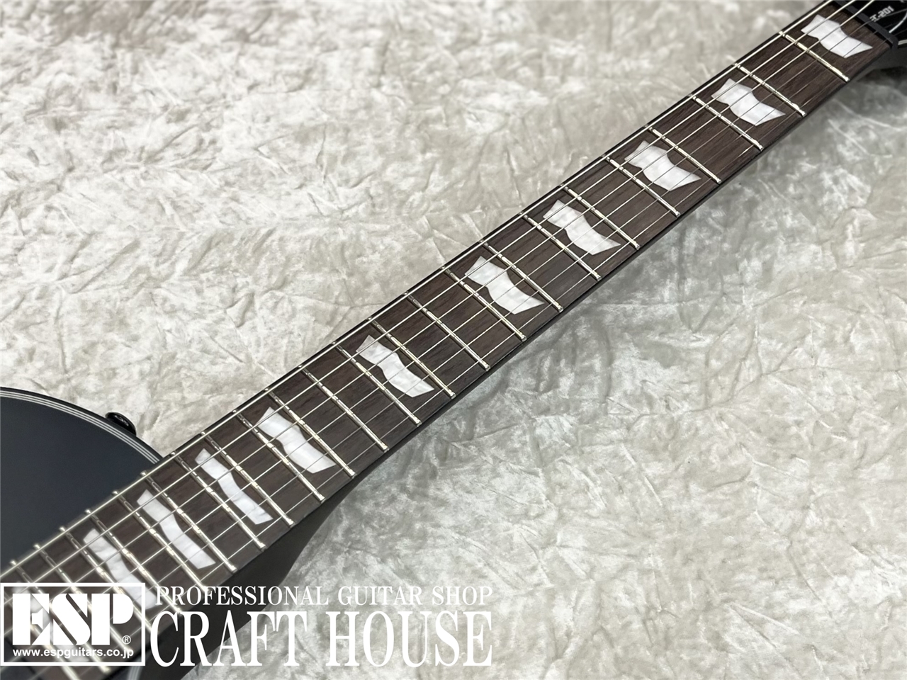 LTD EC-201 / Black Satin（新品/送料無料）【楽器検索デジマート】