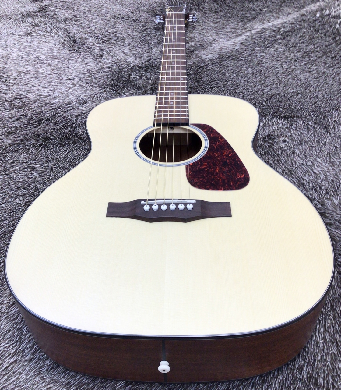 Morris F-1 2025 Renewed Series NAT (ナチュラル) -Performers