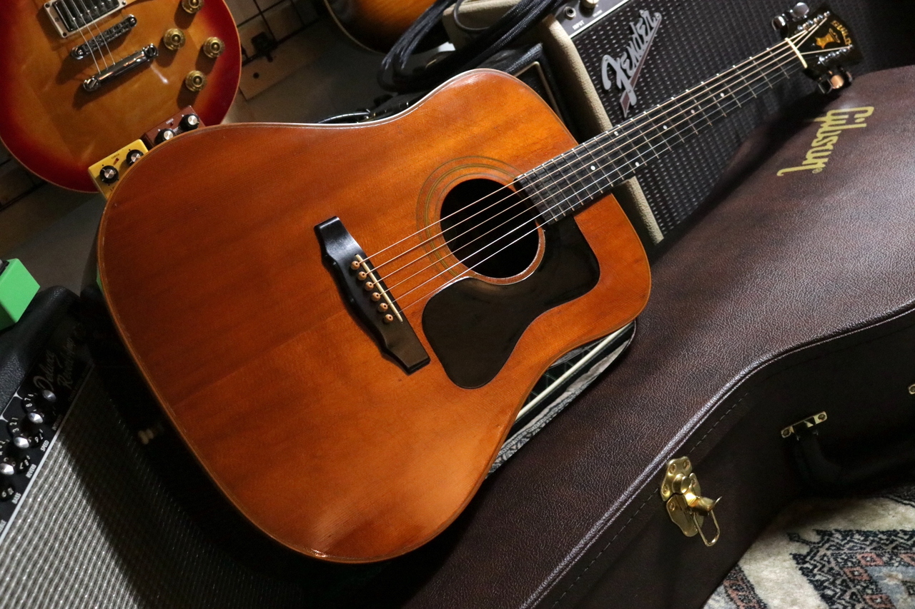 GUILD D-50 NT 1981（ビンテージ/送料無料）【楽器検索デジマート】