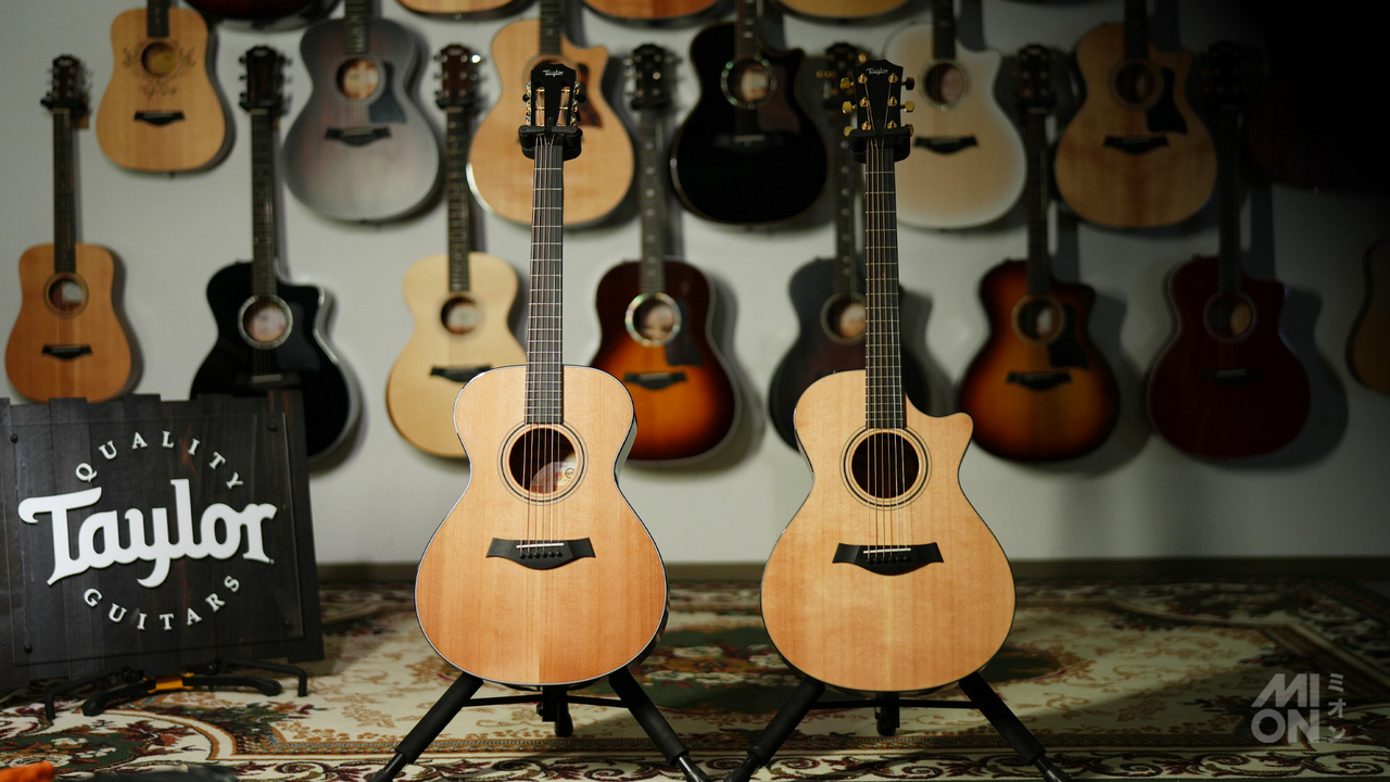 Taylor 【世界に1本、あなただけのテイラーギターを制作】Custom