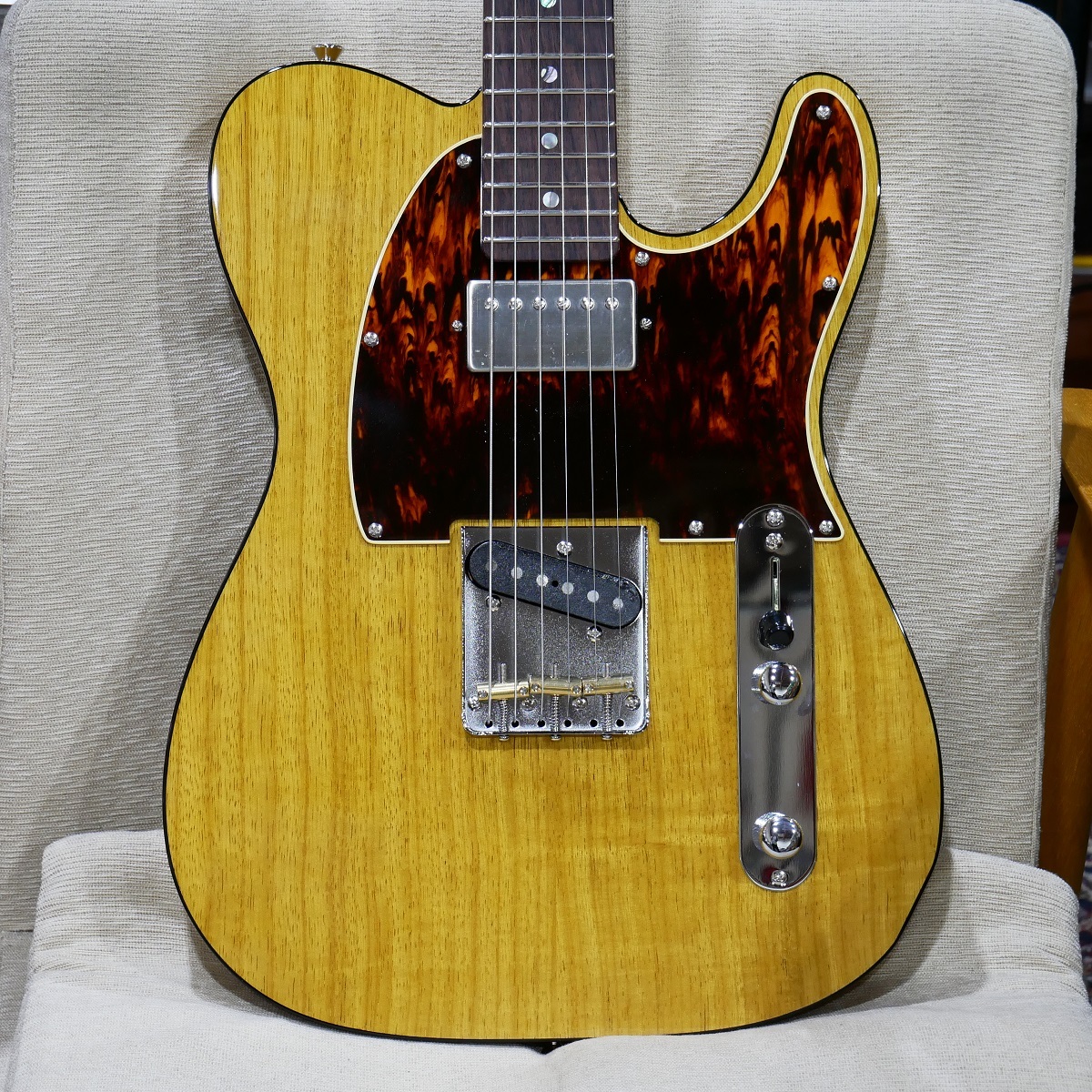 K&T MODERN VINTAGE GUITARS TEAGUR with K&T WEEP BB / T-51R