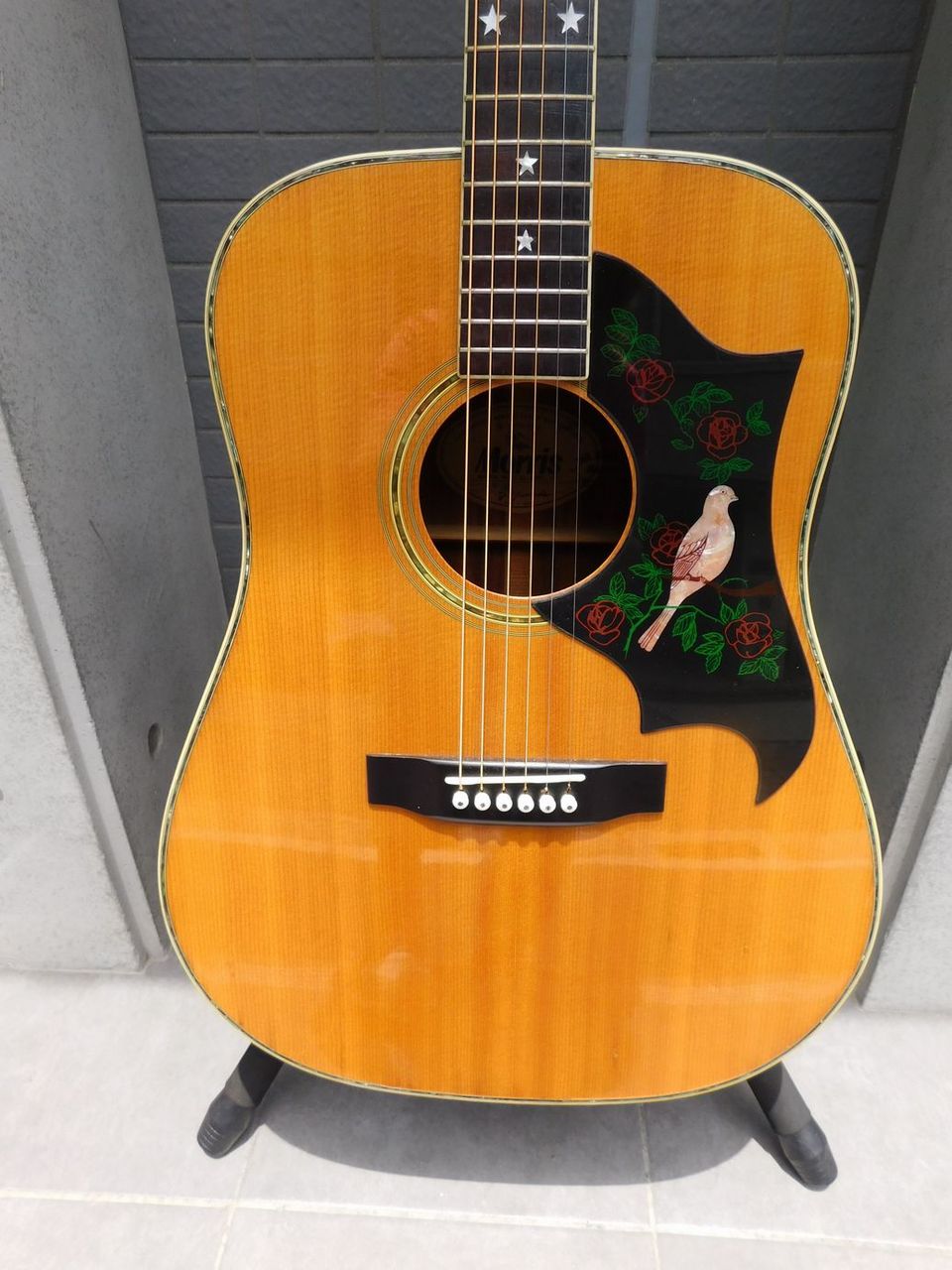 Morris W-30 スターインレイ（中古）【楽器検索デジマート】