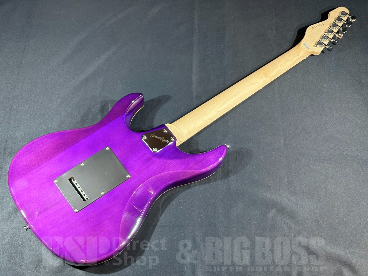GrassRoots G-SNAPPER-CTM See Thru Purple（新品/送料無料）【楽器