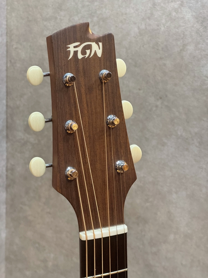 FUJIGEN(FGN) AG1（中古）【楽器検索デジマート】