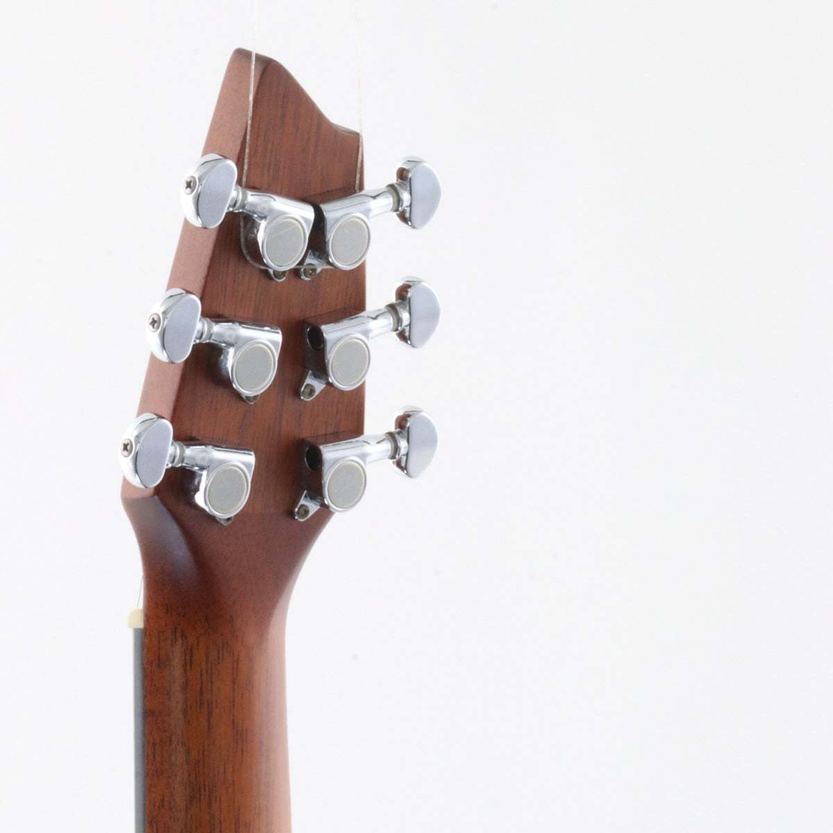 Breedlove Passport C250 【訳アリ】 【梅田店】（中古）【楽器検索