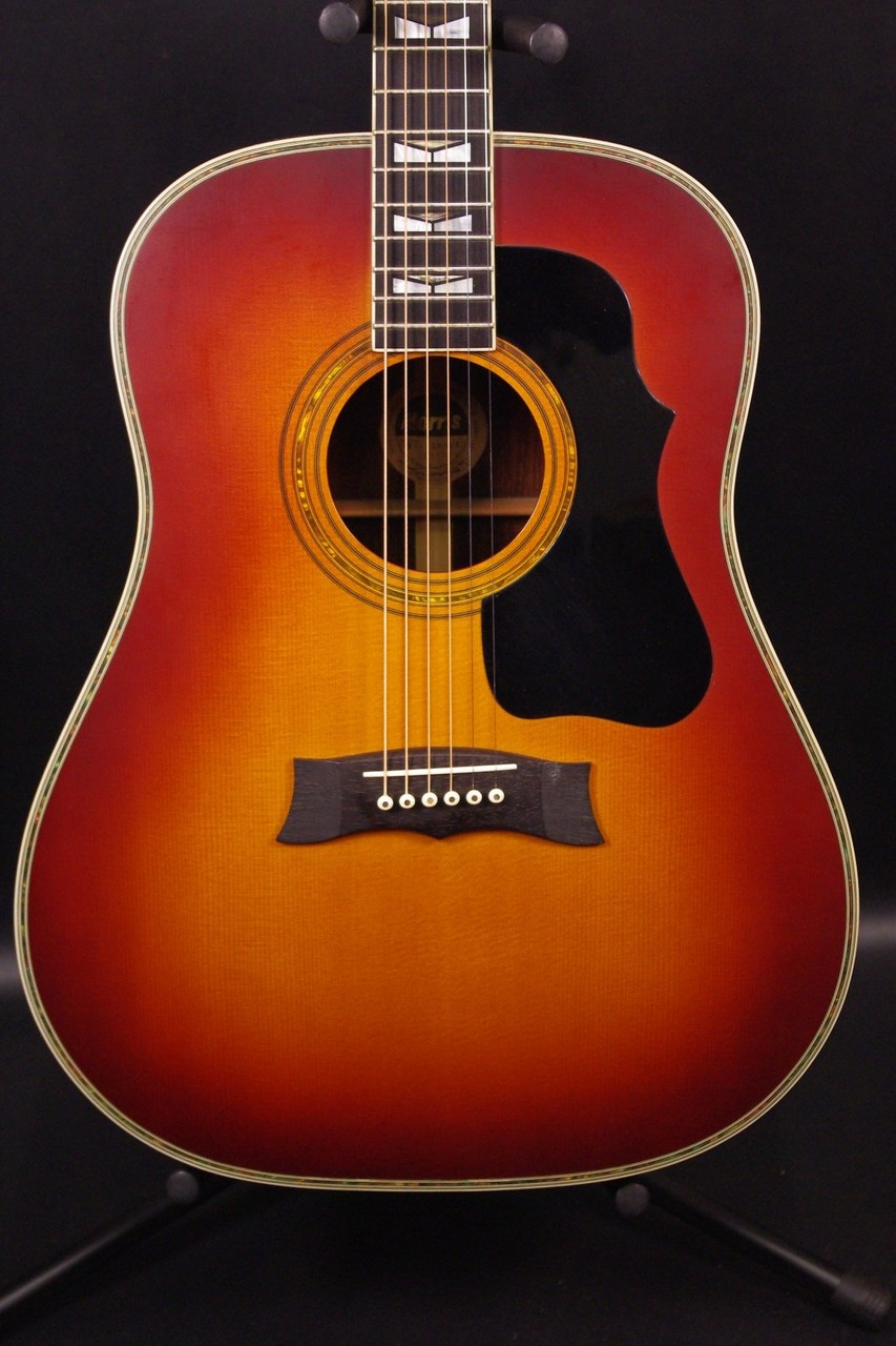 Morris MG-1200ST（中古）【楽器検索デジマート】