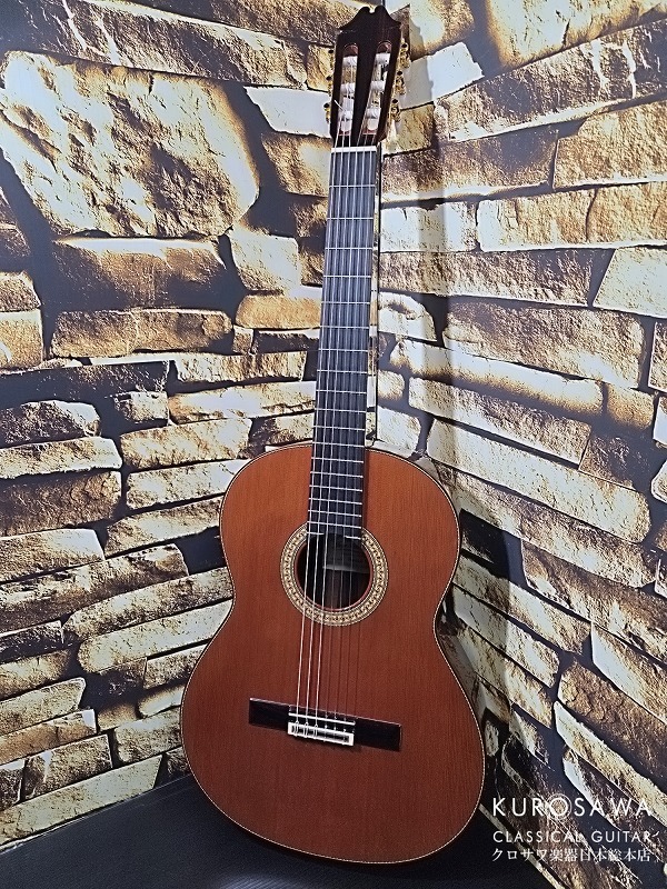 Juan Hernandez ホアン・エルナンデス 2025年製 Profesor 640 C 杉