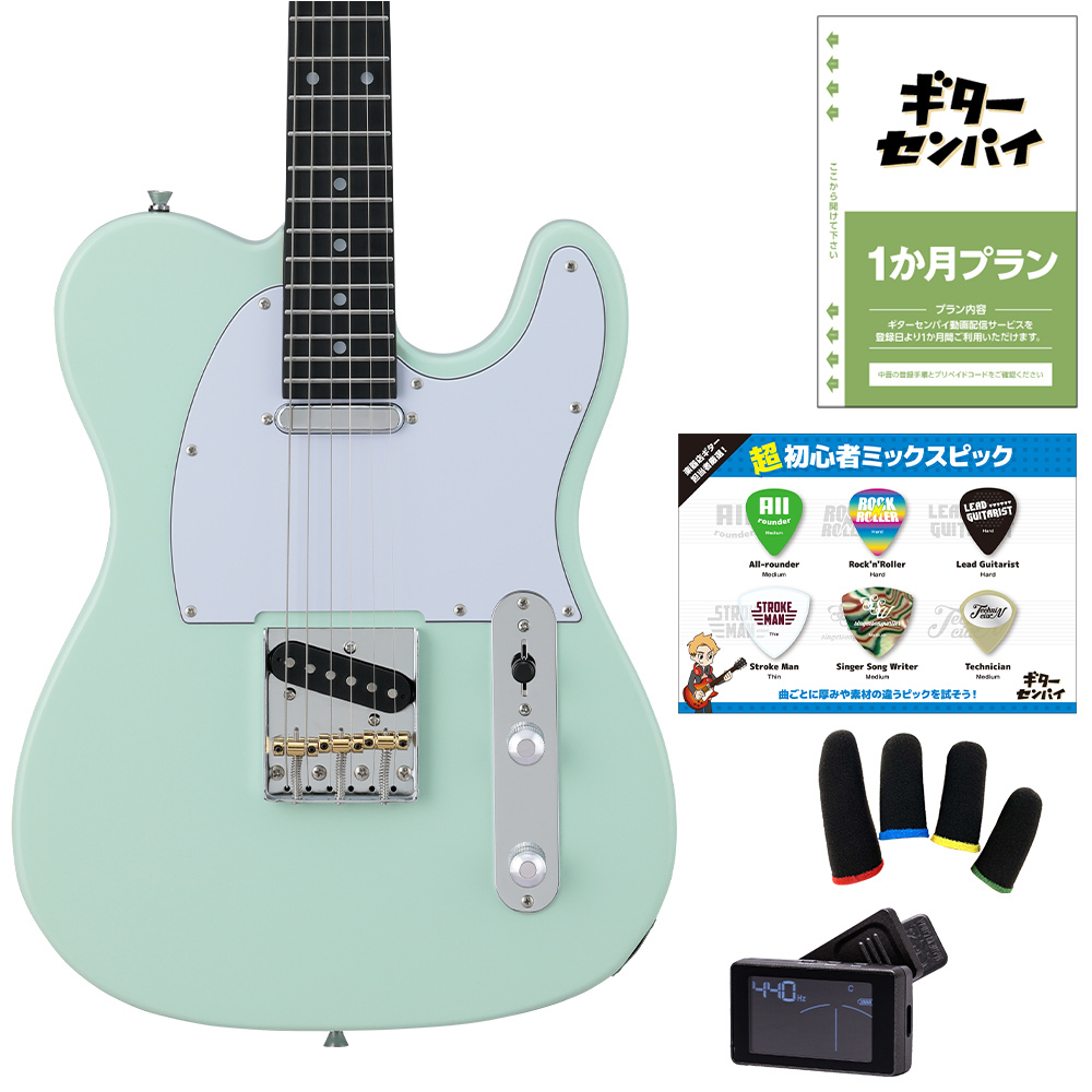 BUSKER'S BTL-Standard 超初心者セット GRW グリーンホワイト